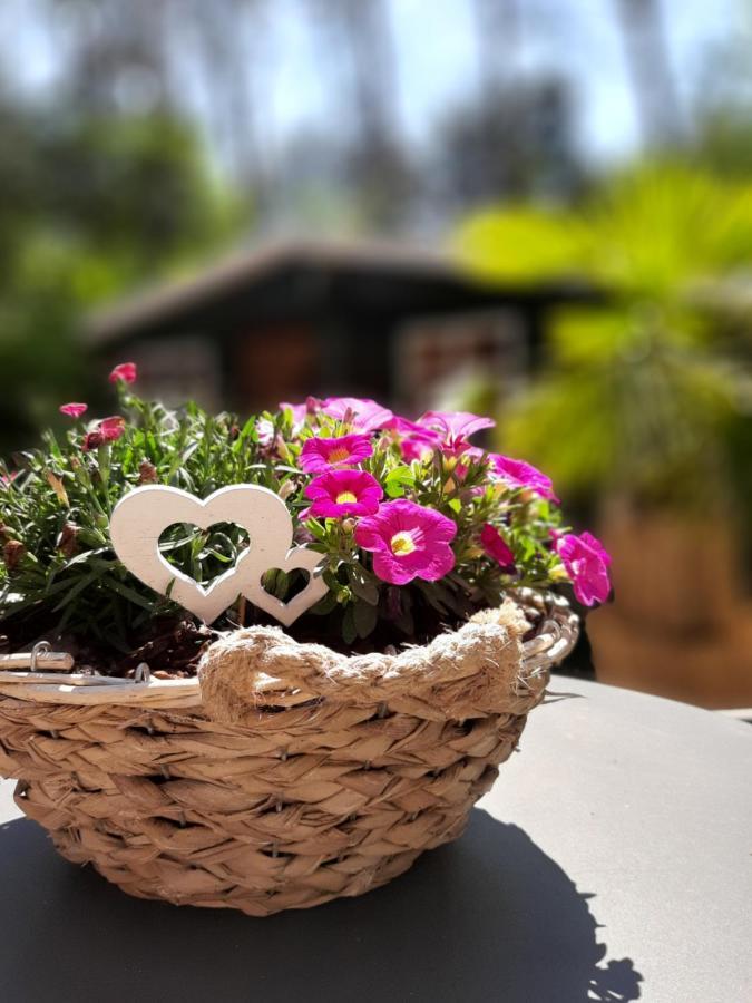 Secret Wellness Boszicht Villa Holten Luaran gambar
